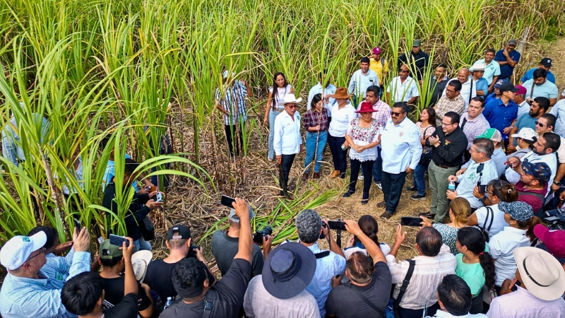 Arranca la zafra 2023-2024 en #QuintanaRoo