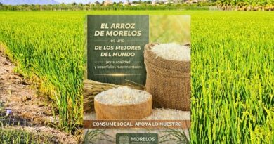 En 2012, el arroz de Morelos obtuvo la Denominación de Origen, certificando su calidad y relevancia cultural y económica en la identidad alimentaria de los morelenses.